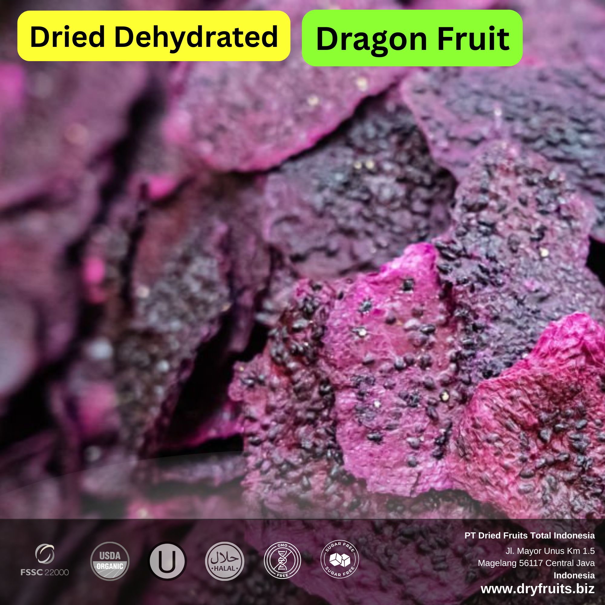 Wholesale Bulk Dried Dehydrated Dragon Fruit chunks and rings