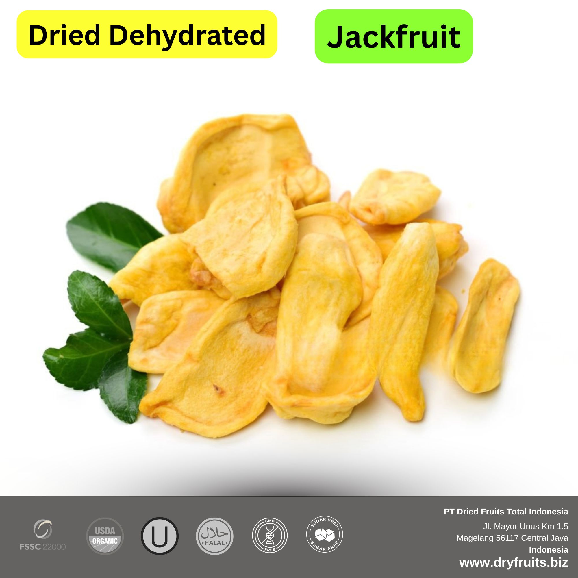 Wholesale Bulk Dried Dehydrated Jackfruit chunks